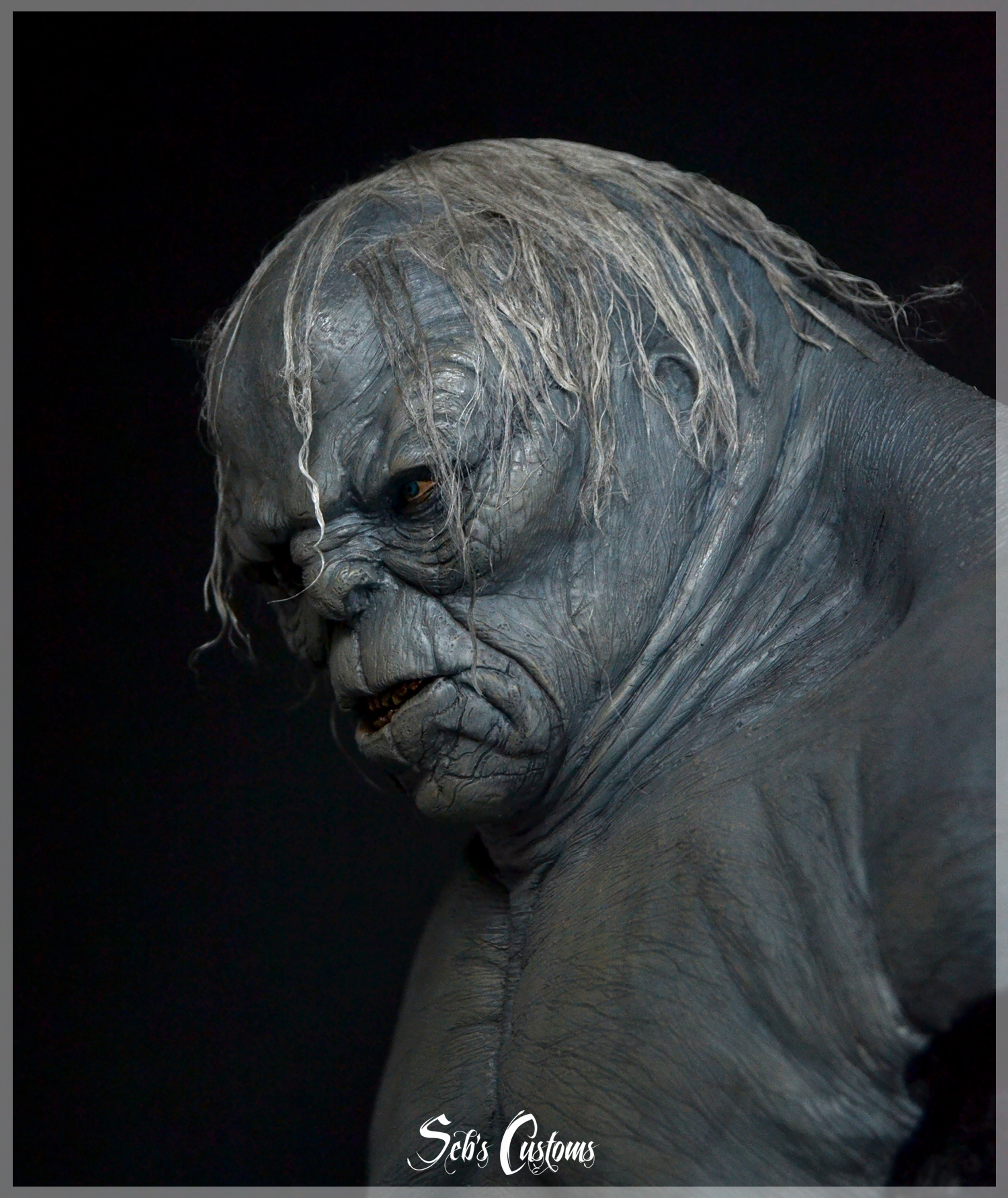 Damrod bust 1/6 LOTR