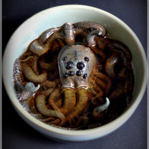 Krakenidae
